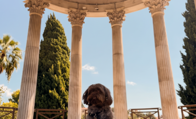 Villa Soraya: A Dog-Friendly Holiday in Nice